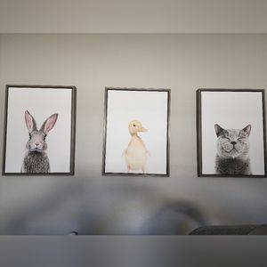 Kate and Laurel baby animal framed canvas prints
